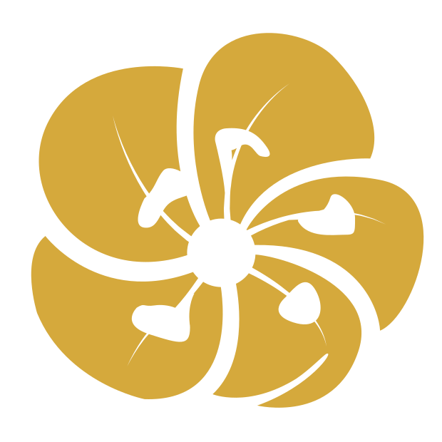 Hiso Nuru Massage